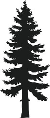 Lone Pine Tree Silhouette Vector – Tall Forest Tree Illustration for Outdoor and Nature Themes