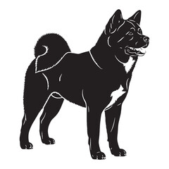 Dignified Akita digital black profile, presented with clean, sharp, professional edges - Akita silhouette - Akita Vector - Silhouette of Akita - dog vector

