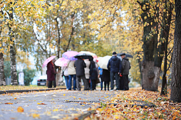 Fototapeta premium Autumn rain in the park