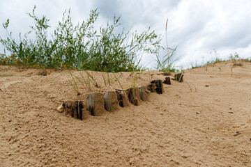 
on the coast, reveals a sand dune with a row of wooden stakes,