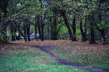 Beautiful autumn park. Russian North. Autumn trees and leaves. Autumn Landscape.Park in Autumn....