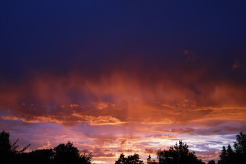 Summer landscape, lush green vegetation and nature.