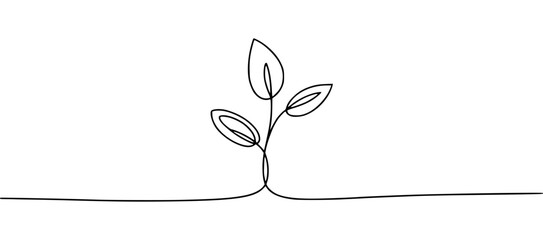 Obraz premium Minimalist line drawing of a growing plant with three leaves