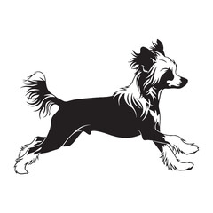 Delicate Chinese Crested digital black silhouette, rendered perfectly for clarity and appeal - Chinese Crested silhouette - Chinese Crested Vector - Silhouette of Chinese Crested - dog silhouette

