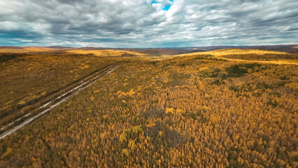 Aerial photograph of the highway through the autumn golden forest