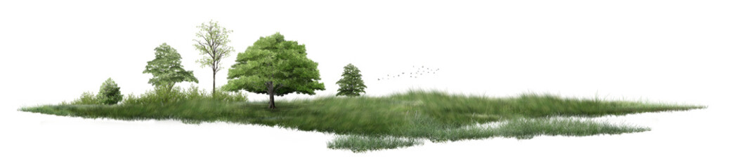 green grass on white background