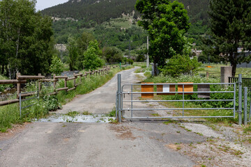 Metal fence with a Canadian crossing on a paved mountain road