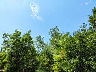 Beautiful nature photos