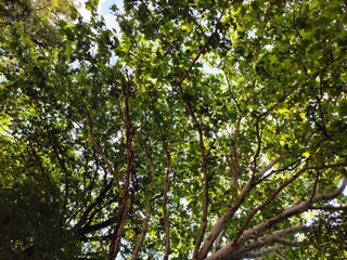 Beautiful nature photos