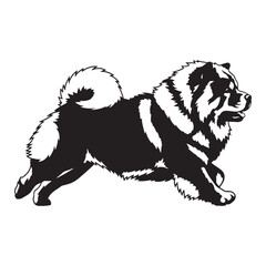 Essential Chow Chow canine digital black graphic, a powerful tool for various endeavors - Chow Chow silhouette - Chow Chow Vector - Silhouette of Chow Chow - dog illustration

