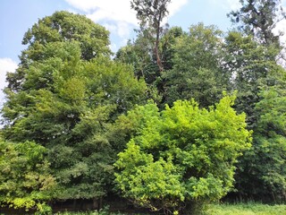 Beautiful nature photos