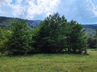 Beautiful nature photos