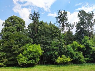 Fototapeta premium Beautiful nature photos