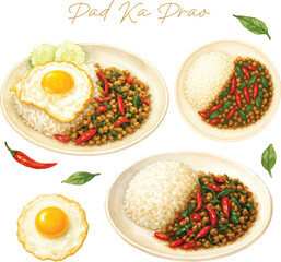 Pad Ka Prao with Rice and Fried Egg Watercolor Illustration Style