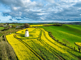 Rapeseed fields and Farms over Devon Windmill from a drone, Torquay, Devon, England