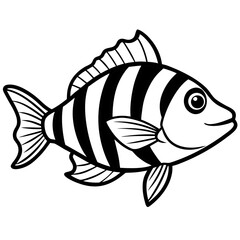 Mandarinfish line art vector