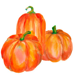 Watercolor composition with bright ripe pumpkins isolated on a white background. Orange pumpkin illustration. For Thanksgiving, Halloween, harvest, ecomarket, market, printing, stickers, menu, recipe