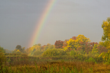 rainbow over the field