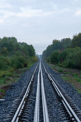 Obraz premium railway in the forest