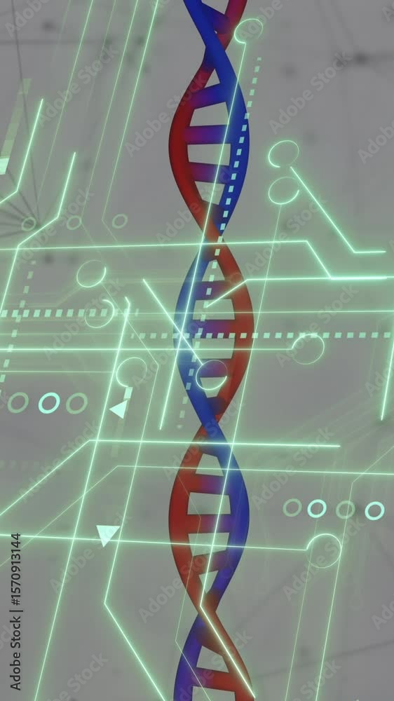 Poster animation of medical data processing and processor socket over white background