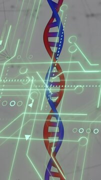 Animation of medical data processing and processor socket over white background
