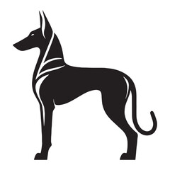Alert Pharaoh Hound digital black silhouette, rendered perfectly for clarity and appeal - Pharaoh Hound silhouette - Pharaoh Hound Vector - Silhouette of Pharaoh Hound - dog silhouette

