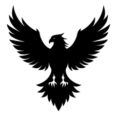 Obraz premium eagle with wings