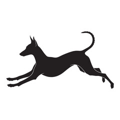 Proud Pharaoh Hound digital black form, making a strong visual impact in any design - Pharaoh Hound silhouette - Pharaoh Hound Vector - Silhouette of Pharaoh Hound - dog silhouette

