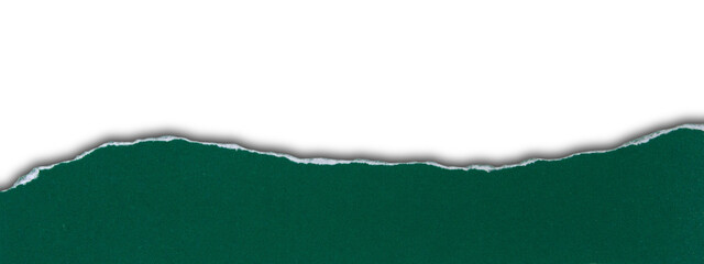 dark green paper torn with edge and shadow is on transparent background. bottom composition
