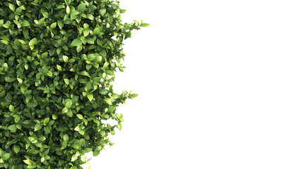• A trendy wall-mounted vertical garden system, isolated on white background in HD 