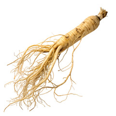 Ginseng Root Unveiling the Ancient Herbs Powerful Benefits on transparent background