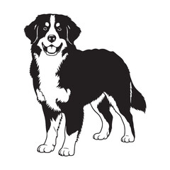 Proud Bernese Mountain Dog digital black form, making a strong visual impact in any design - Bernese Mountain Dog silhouette - Bernese Mountain Dog Vector - Silhouette of Bernese Mountain Dog

