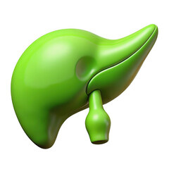 Fototapeta premium 3d stylized liver and gallbladder isolated on transparent background