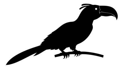 Fototapeta premium Crow and Raven Silhouette Illustration on White Background
