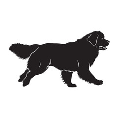Rescuer Newfoundland dog digital black graphic, a high-quality asset for all digital creations - Newfoundland dog silhouette - Newfoundland dog Vector - Silhouette of Newfoundland dog

