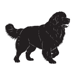 Authentic Newfoundland dog canine digital black visual, accurately representing this beloved breed - Newfoundland dog silhouette - Newfoundland dog Vector - Silhouette of Newfoundland dog

