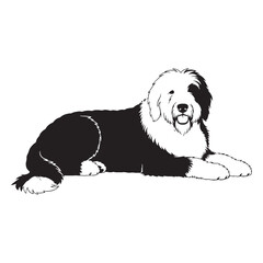 Authentic Old English Sheepdog canine visual, accurately portraying this beloved breed - Old English Sheepdog silhouette - Old English Sheepdog Vector - dog vector

