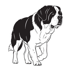 Majestic Saint Bernard digital black vector artwork, ideal for a variety of artistic projects - Saint Bernard silhouette - Saint Bernard Vector - Silhouette of Saint Bernard - dog silhouette

