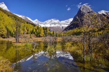 四川省　四姑娘山・双橋溝ハイキング