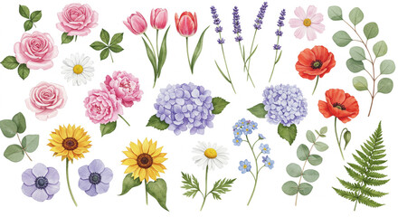 Floral Collection: A vibrant collection of watercolor-style flowers, including roses, tulips, lavender, poppies, hydrangeas, sunflowers, daisies, and eucalyptus. Perfect for wedding invitations.