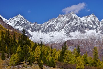 Obraz premium 四川省 四姑娘山・双橋溝ハイキング