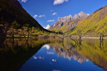 四川省　四姑娘山・双橋溝ハイキング