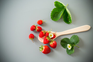 Still life with strawberries, top view on a textured background