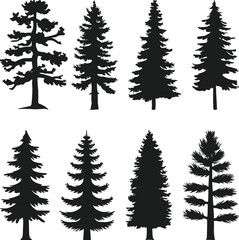Obraz premium Set of Evergreen Tree Silhouettes – Hand-Drawn Pine and Fir Tree Vector Collection