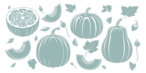 Pumpkin silhouette, different angles, slices, pumpkin leaves, pumpkin flowers. vector.