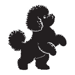 Standard Bichon Frise digital black vector, a classic and easy-to-use option for adaptation - Bichon Frise silhouette - Bichon Frise Vector - Silhouette of Bichon Frise - dog vector

