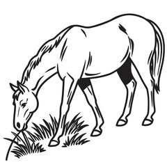 sketch of a horse