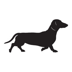 Pure Dachshund digital black form, offering a clean, distinct graphic for multiple designs - Dachshund silhouette - Dachshund Vector - Silhouette of Dachshund - dog vector


