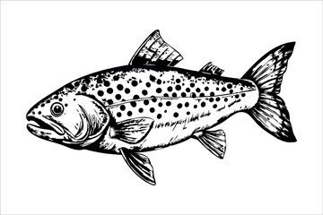 A detailed illustration of a trout fish with distinctive spots and fins. The fish is depicted swimming gracefully in a natural setting.