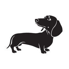 Beautiful Dachshund digital black image, an elegant graphic for all your creative projects - Dachshund silhouette - Dachshund Vector - Silhouette of Dachshund - dog silhouette

